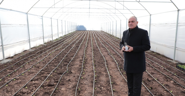 Ucuz sebzeler Gemlik Belediyesi’nden