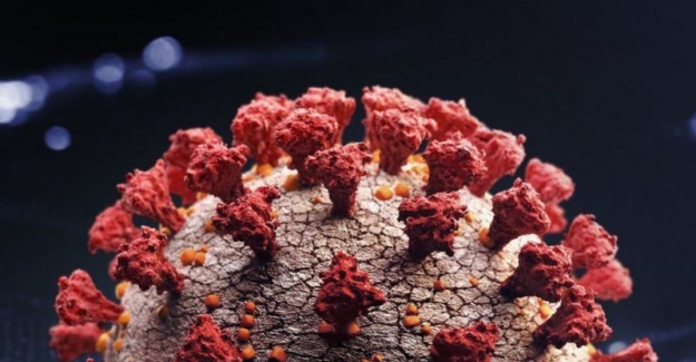 Dünya Sağlık Örgütü 'Her ülke Omicron Varyantına hazırlıklı olmalı' diyerek uyarıda bulundu