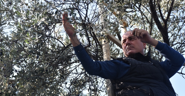 Gemlik Belediye Başkanı'ndan Marmarabirlik’e fiyat güncelleme çağrısı