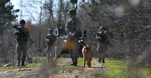 Mehmetçik sınırlarda kuş uçurtmuyor
