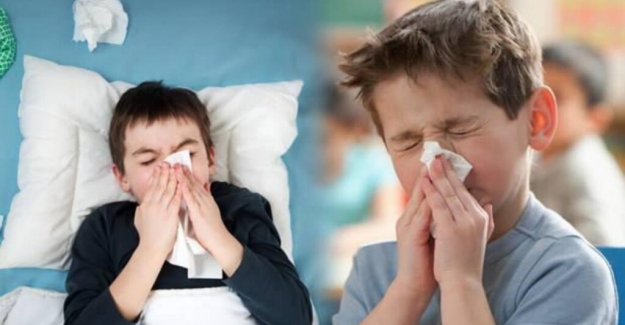 Covid-19? Domuz Gribi? Yoksa İnfluenza mı?