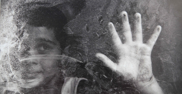 Ödüllü fotoğraflar Nilüfer’de