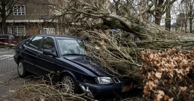Batı Avrupa'da Eunice Fırtına nedeniyle 8 kişi öldü, çok sayıda kişi yaralandı