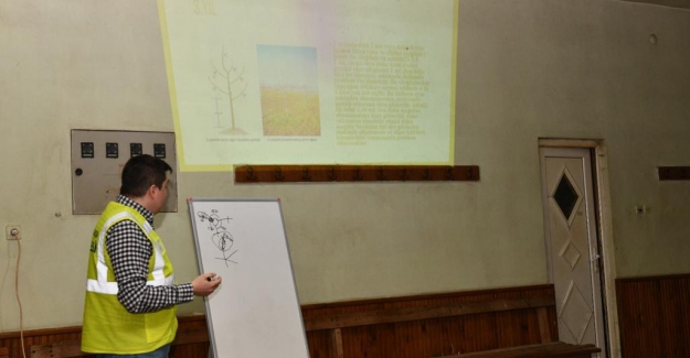 Mustafakemalpaşa ceviz üreticisine destek