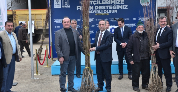 Kelesli üreticiye meyve fidanı ve yem tohumu desteği