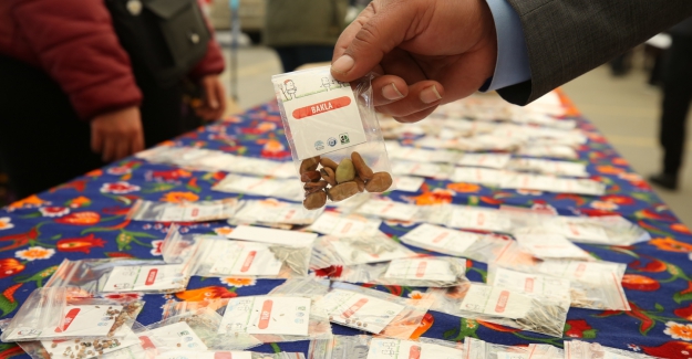 Yerel tohumlar için milli mücadele şenliği