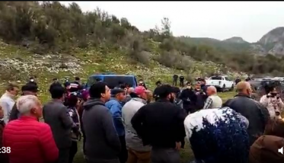 Maden ocağı açmak için 'Zeytin Katliamı' başladı!