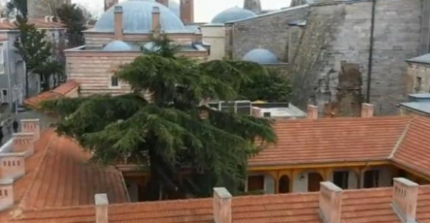 Ayasofya Medresesi cuma günü açılıyor