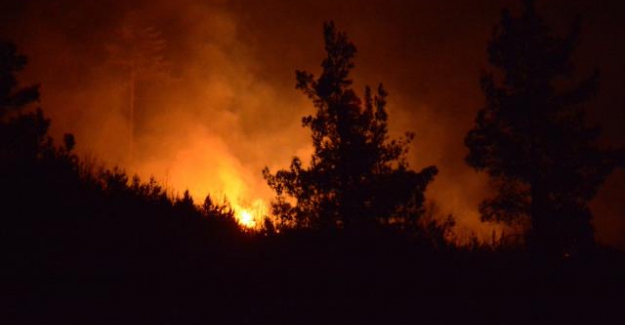 Bursa, Çanakkale ve Bilecik yangınları kontrol altına alındı