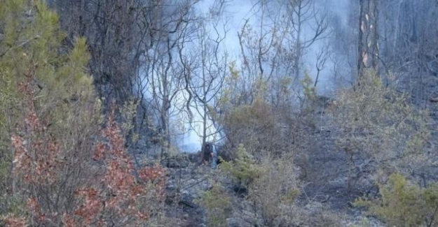 Bursa'daki yangında ağır bilanço