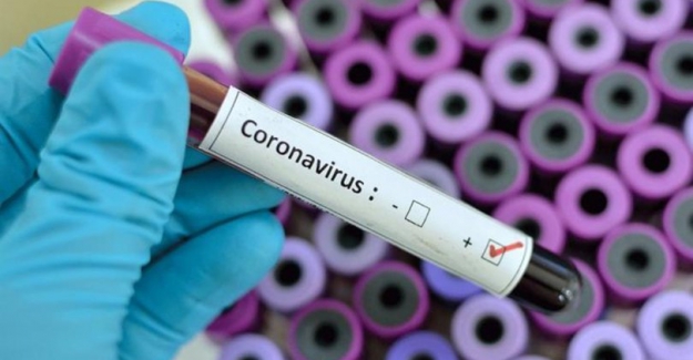 Koronavirüs çözülüyor mu? "Günlük vefat sayısı 45'e kadar geriledi"