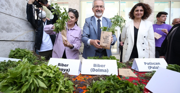 Nilüfer Belediyesi halka 400 bin fide dağıtıyor