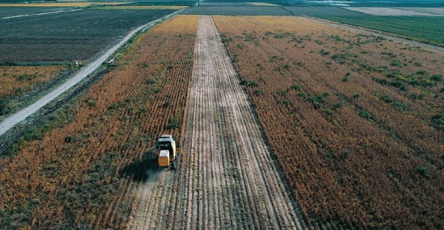 TÜİK'e göre; Tarımsal girdi fiyatlarındaki yıllık artış yüzde 105,70