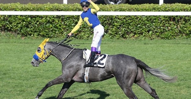 96. Gazi Koşusu'nda zafer Secret Power'ın