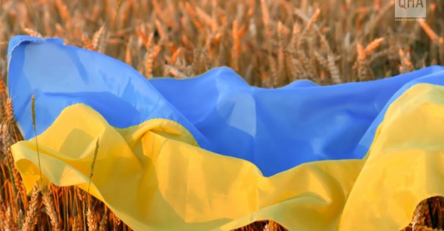Dünyanın en büyük ikinci tahıl ihracatçısı Ukrayna, savaş yüzünden  tarım alanlarının yüzde 25’ini kaybetti
