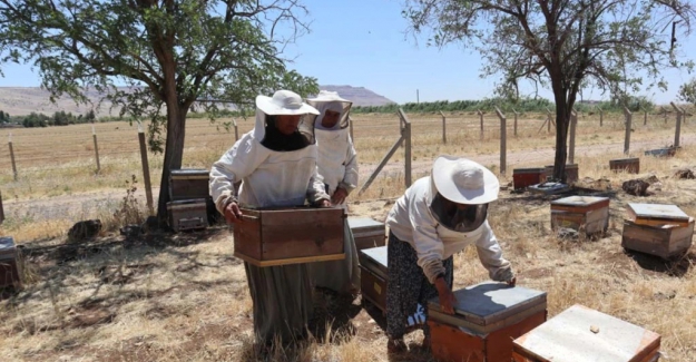 Güneydoğulu Kadınların Bal Mesaisi
