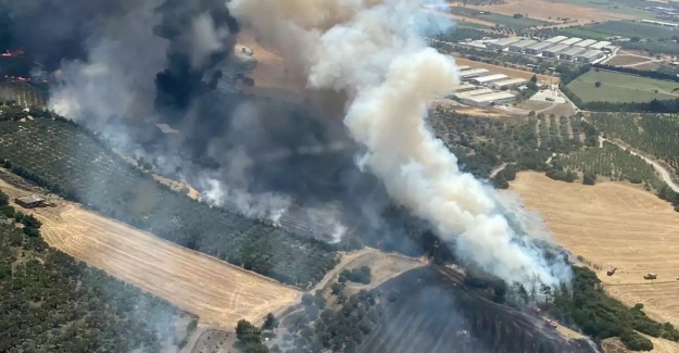 İzmir Foça ve Karaburun'da korkutan yangınlar