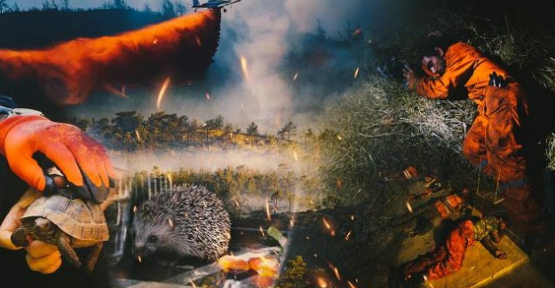 Yürekler acısı, yangın Marmaris'i kömür karasına bürüdü