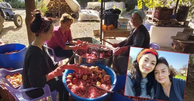 1 hafta için geldiler, 3 yıldır köydeler! İşte geçinmek için gereken para