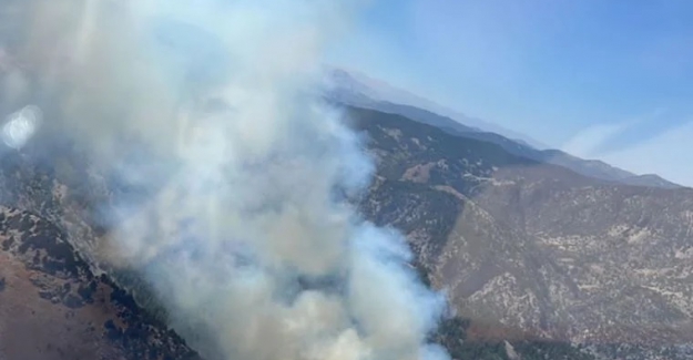 Adana'da orman yangını.. Müdahale devam ediyor