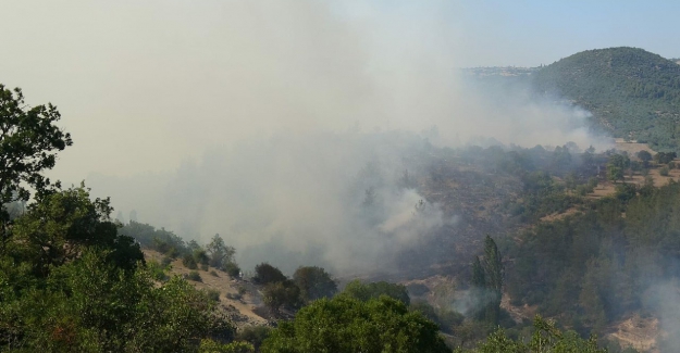 Balıkesir'de orman yangını! Alevlere karşı mücadele devam ediyor..