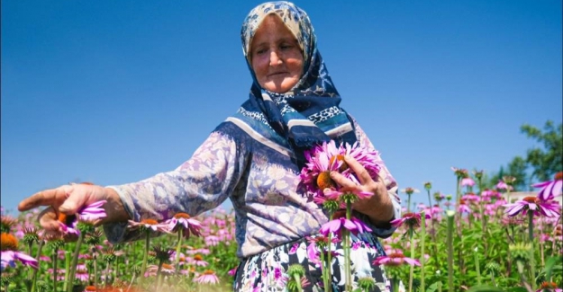 Ekinezya Hasadı ‘’Bayram Sevinci’’ Yaşattı