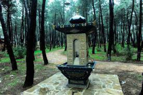 İstanbul'da ormanlara giriş yasağı getirildi