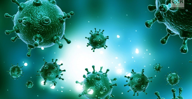 Çin'de yeni bir virüs daha ortaya çıktı: Langya virüsü nasıl bulaşıyor?