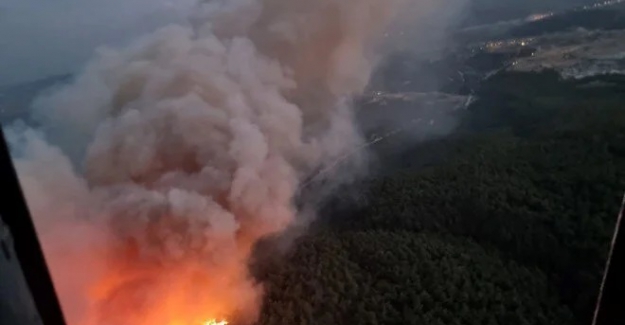 Manisa- Soma'da orman yangını