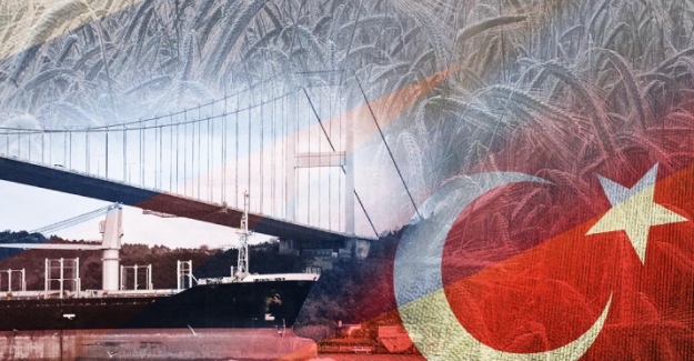 Türkiye üzerinden 622 bin tondan fazla Ukrayna tahılının sevkiyatı yapıldı