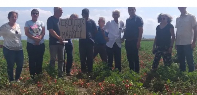 Bursa’da sulama suyuna bor karıştı, ürünler yandı