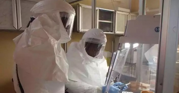 Herkesin gözü Çin'deydi... Kovid'in kaynağı neresi çıktı?