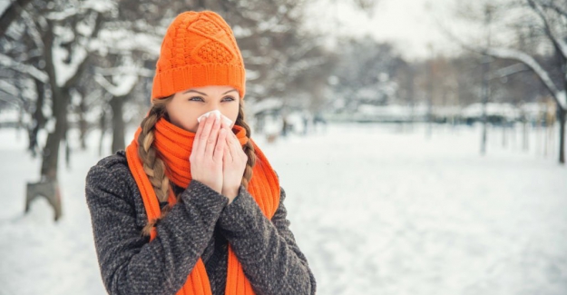 Limon Sarımsak Kürü ile kışa hazırlıklı girin