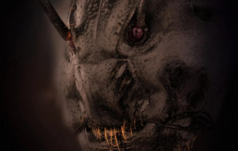 Karınca yüzünün sıradışı fotoğrafı, yarışmada dikkat çekti