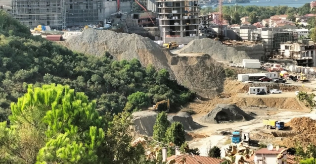 Üsküdar’da ormana millet bahçesi: TOKİ ihalesi yine hastanelerin, havalimanlarının şirketine