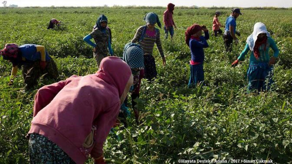 Hayata Destek Derneği: Çocuklar yoksulluk döngüsünden çıksın