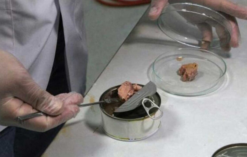 Konserve balık ambalajında mikroplastik bulundu