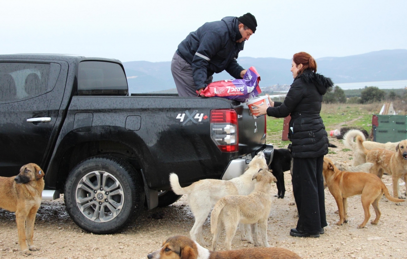 Kırsaldaki can dostlara gönüllü destek
