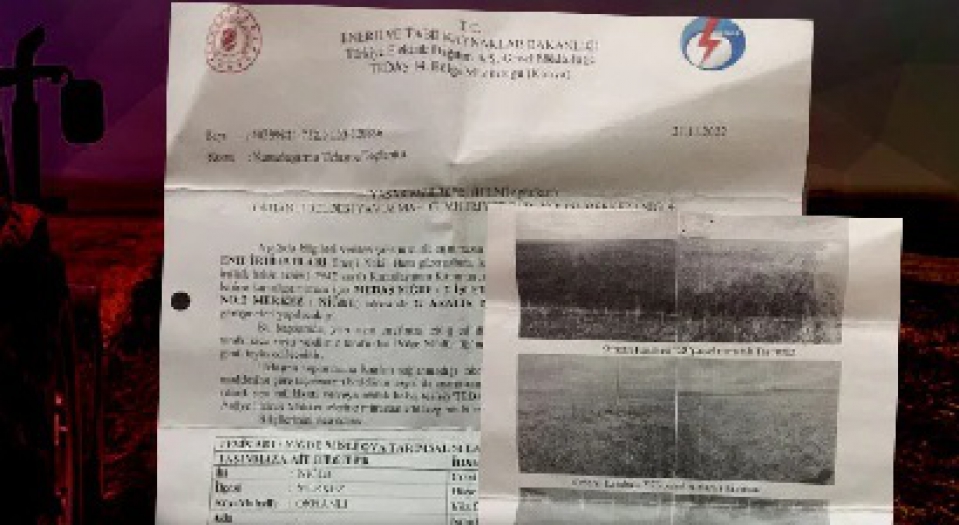 TEDAŞ borcunu ödeyemeyen çiftçilerin tarlasına el koydu. İcradan tek tek satılıyor