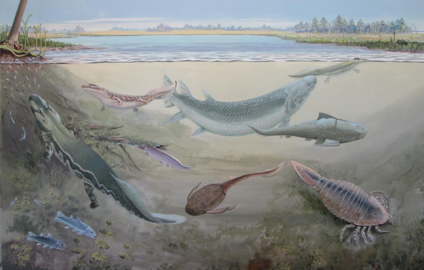 360 milyon yıl önce yaşamış dev balık keşfedildi: İnsanların atalarını avlamış olabilir