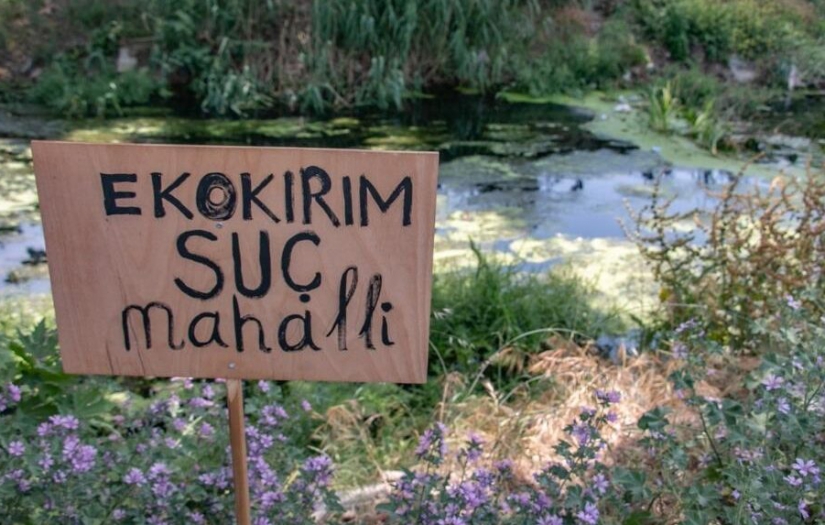 Çevreye karşı işlenen suç sayıları 2022’de 57 bin 150’ye ulaştı