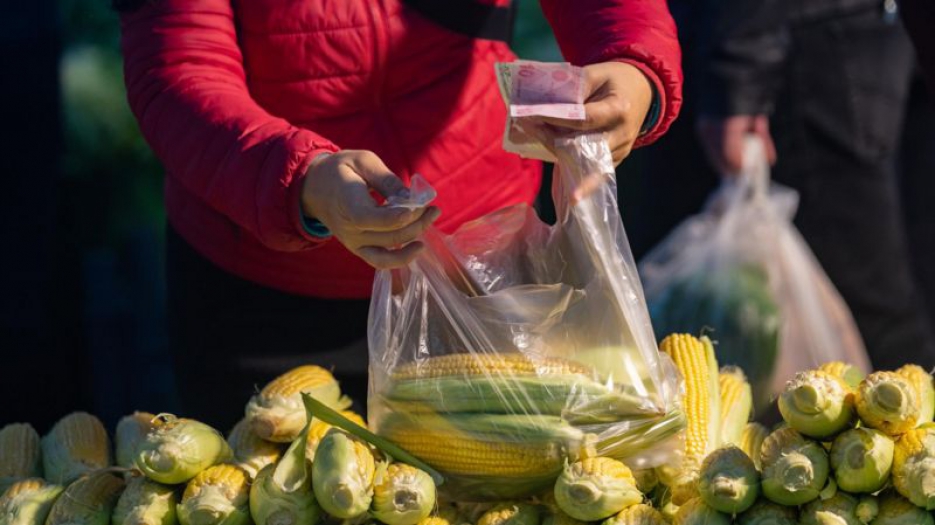 Türkiye'de gıda enflasyonu neden artıyor, nasıl düşürülebilir?