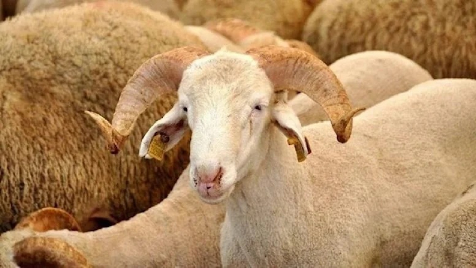 Arefe günü yarım gün mü, tatil mi?