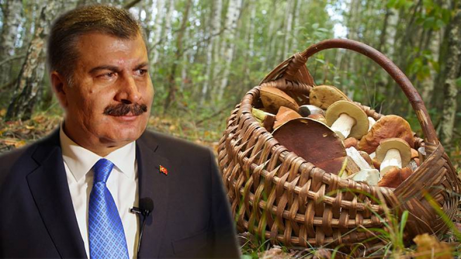 Sağlık Bakanı Koca'dan mantar zehirlenmelerine karşı uyarı