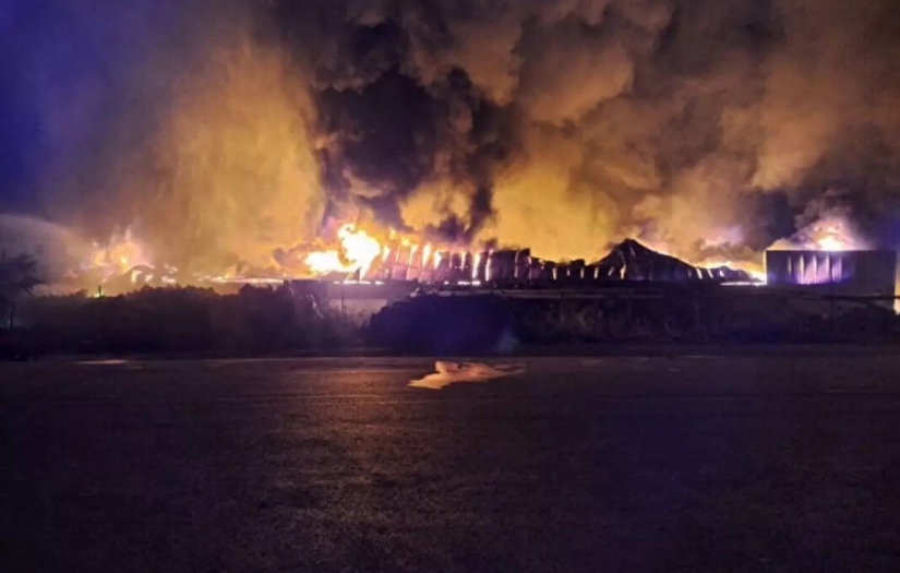 Tarsus'da korkutan yangın! TOMA'lar da yardıma gitti!