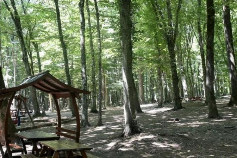 Ankara'da ormanlık alanlara 30 Eylül'e kadar giriş yasaklandı