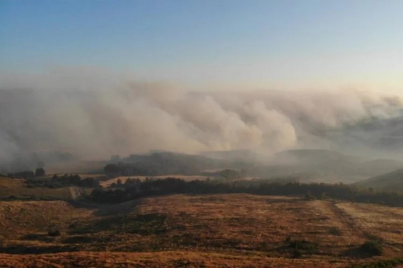 Hatay, Mersin ve Çanakkale'de başlayan orman yangınları devam ediyor