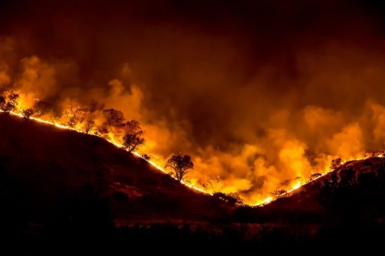 MİT, orman yangınlarına talimat veren teröristi etkisiz hale getirdi