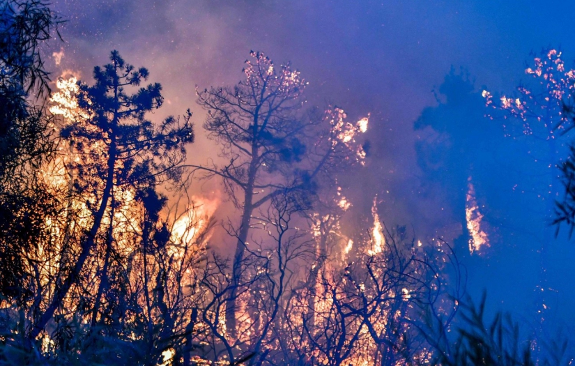 ‘Yakıcı Temmuzdaki’ Afetler