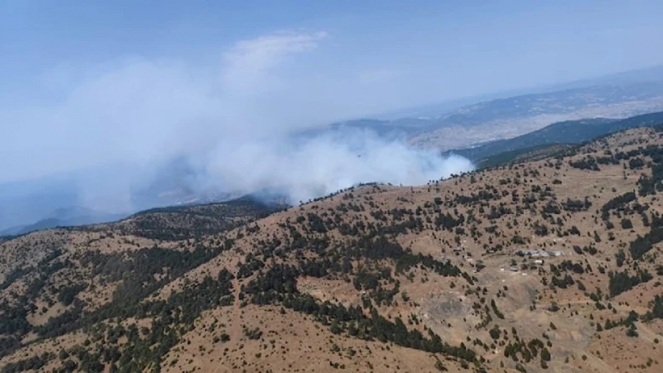 Ankara Çubuk’ta yangın